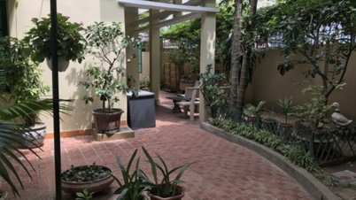 The tragicomedy of Vietnamese film renting a set: Stopping filming because of the homeowner couple