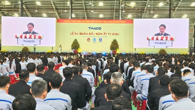 ក្រុមហ៊ុន THACO បានសម្ពោធគម្រោងថាមពលជាច្រើននៅថ្ងៃផលិតដំបូងនៃឆ្នាំពស់។