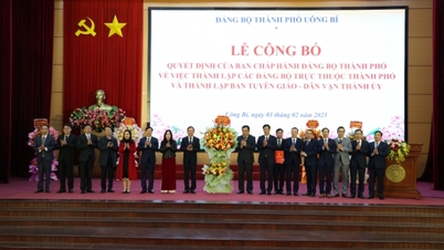 Uong Bi City Party Committee: Announcing the decision to establish grassroots Party Committees