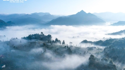Go to Bac Ha plateau to see the magical sea of ​​white clouds