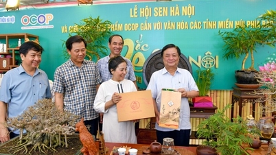 ទីក្រុងហាណូយផ្តល់វិញ្ញាបនបត្រលំដាប់ផ្កាយ 4 ផលិតផល OCOP ចំនួន 108 មុខ