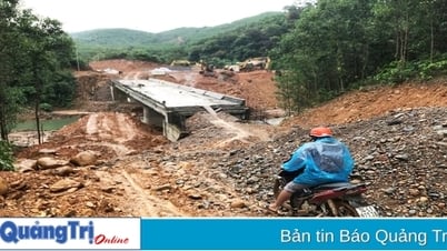 Dự án đường nối nhánh Đông với nhánh Tây đường Hồ Chí Minh đang vướng mặt bằng do không đấu giá được rừng tự nhiên