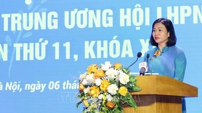 Bổ nhiệm bà Nguyễn Thị Tuyến làm Ủy viên Hội đồng quản trị Ngân hàng Chính sách xã hội