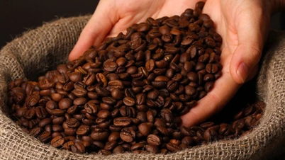 Agricultural product prices on February 5, 2025: Coffee prices drop sharply, pepper prices increase