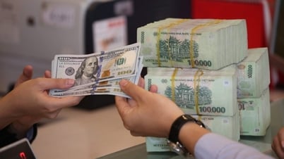 EUR, Yuan, Peso... ទាំងអស់បានកើនឡើងក្នុងពេលដំណាលគ្នា។