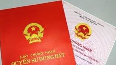 ជំនះភាពយឺតយ៉ាវក្នុងការផ្តល់វិញ្ញាបនបត្រសិទ្ធិប្រើប្រាស់ដីធ្លីយ៉ាងឆាប់រហ័ស