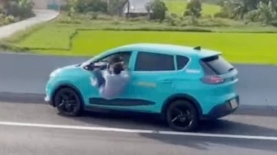 高速道路で助けを求めるためにタクシーの窓から這い出た男の驚くべき真実
