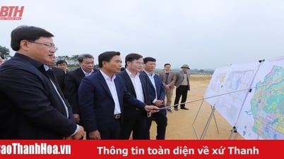 Bí thư Tỉnh ủy Nguyễn Doãn Anh kiểm tra triển khai tổ chức đại hội Đảng các cấp nhiệm kỳ 2025-2030 tại thị xã Bỉm Sơn và các huyện Hậu Lộc, Ngọc Lặc, Thọ Xuân