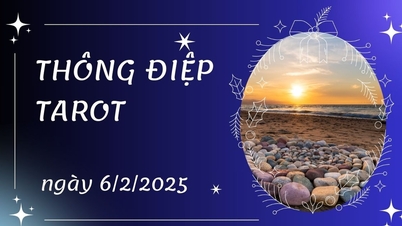 Cự Giải bốc lá The...