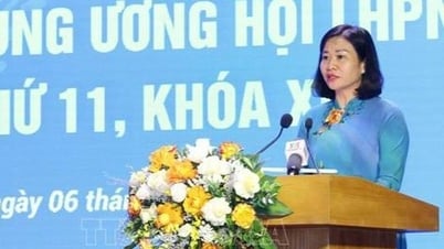 Bà Nguyễn Thị Tuyến được bổ nhiệm làm Ủy viên Hội đồng quản trị Ngân hàng Chính sách xã hội