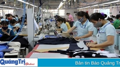 Über 1 Milliarde VND zur Unterstützung kleiner und mittlerer Unternehmen bei der Entwicklung von Humanressourcen und der Teilnahme an Industrieclustern und Wertschöpfungsketten