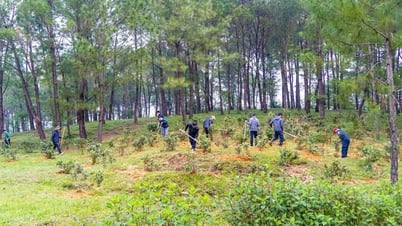 King Gia Long's tomb has more than 1,000 trees planted.