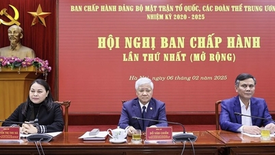 Chỉ định nhân sự Ban Chấp hành Đảng ủy Mặt trận Tổ quốc, các đoàn thể T.Ư