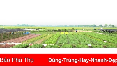 អត្ថប្រយោជន៍ "ទ្វេរដង" ពីកសិកម្មអនុទីក្រុង