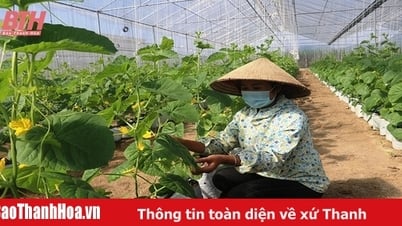 Ứng dụng KH&CN trong phát triển kinh tế nông nghiệp ở khu vực miền núi