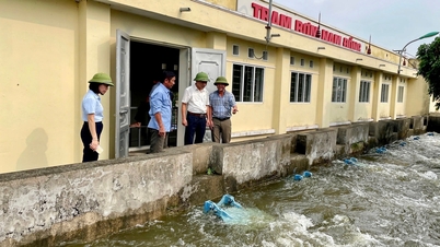 Hai Duong Irrigation Works Exploitation One Member Co., Ltd. actively handles violations of irrigation works.