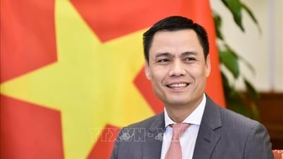 The United Nations considers Vietnam an important partner in digital transformation and AI.