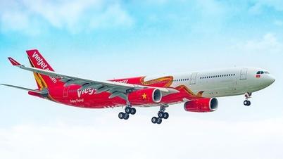 Bay không ngần ngại với ưu đãi giảm 50% giá vé từ Vietjet