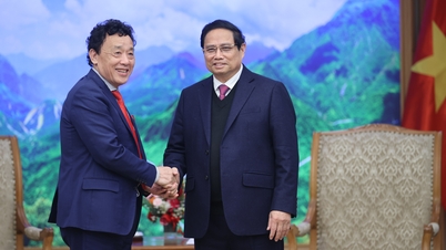 La FAO espera que siga apoyando a Vietnam en la reestructuración del sector agrícola