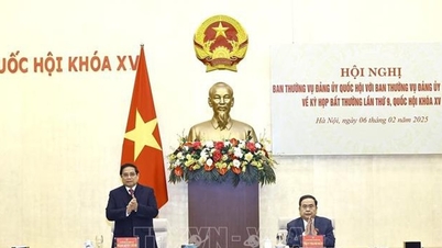 Conference between the two Standing Committees of the Government Party Committee and the National Assembly to prepare for the 9th extraordinary session