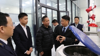 Putting the laboratory for testing agricultural products and food at Bac Luan II border gate into operation