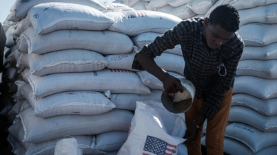 The global impact of the US freezing humanitarian aid