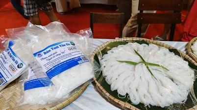 សិប្បកម្ម​ប្រពៃណី​ធ្វើ​វល្លិ​ត្រកួន​ក្លាយជា​បេតិកភណ្ឌ​វប្បធម៌​