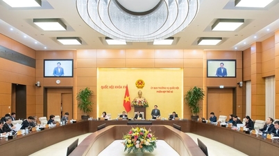 The organizational structure of the National Assembly includes the Council of Nationalities and 7 Committees.