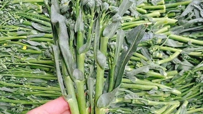 Giá rau xanh rẻ như cho sau Tết