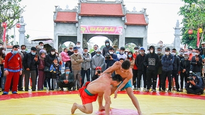 Hải Phòng muốn đưa Hội thi vật thời nhà Mạc thành di sản