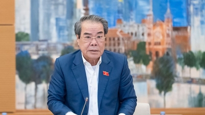 Voters worry about the epidemic situation during and after Tet