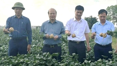 Kim Thanh assigned 4 communes to complete the model new rural area this year.
