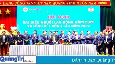 บริษัท Quang Tri Power ให้ความสำคัญกับวินัย ความมีวินัย และให้ความสำคัญต่อความปลอดภัยในการทำงาน