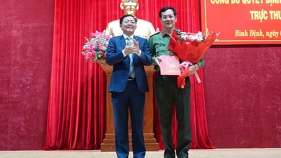 Colonel Ngo Cu Vinh joins the Executive Committee of the Binh Dinh Provincial Party Committee