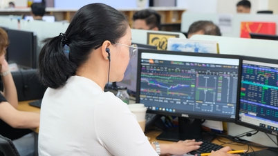 ទីផ្សារ UPCoM និង HNX នៅដើមឆ្នាំ 2025៖ ចំនួនប្រាក់ផ្លាស់ប្តូរដៃនឹងថយចុះ