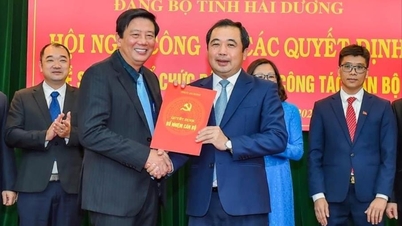 Đồng chí Nguyễn Quang Phúc giữ chức Trưởng Ban Tuyên giáo và Dân vận Tỉnh ủy Hải Dương