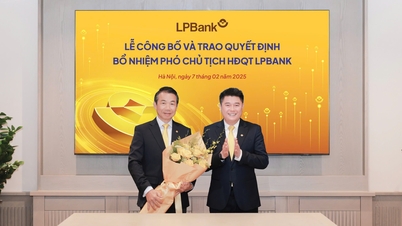Mr. Pham Phu Khoi assumes the role of Vice Chairman of the Board of Directors of LPBank.