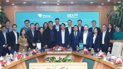 BIDV và SP Group hợp tác vì mục tiêu xanh