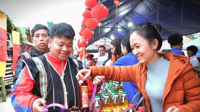 ឆ្នាំ ២០២៤ តំបន់ភ្នំ Quang Nam ទទួលបាន ២៣,៩ ​​ពាន់លានដុងពីអង្គភាពភ្លោះ