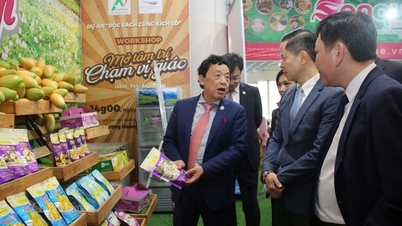 អគ្គនាយក FAO ចាប់អារម្មណ៍នឹងផលិតផល OCOP របស់វៀតណាម