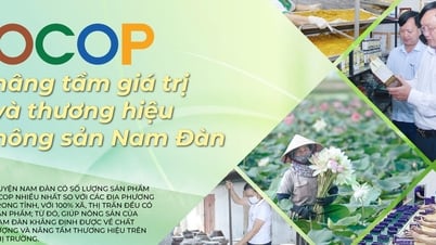 OCOP លើកកំពស់តម្លៃ និងម៉ាកផលិតផលកសិកម្ម Nam Dan