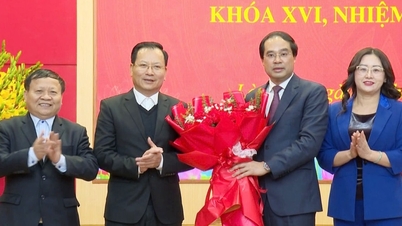 Ông Trịnh Xuân Trường được bầu giữ chức Bí thư Tỉnh ủy Lào Cai
