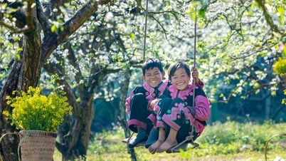 Admire the pure white color of plum blossom season in Moc Chau