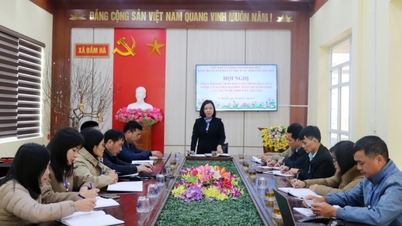 Dam Ha៖ ការរៀបចំដោយប្រុងប្រយ័ត្ន ការផ្តោតអារម្មណ៍ និងចំណុចសំខាន់ៗ