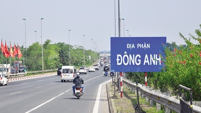 ស្រុក Dong Anh មានដី 5,100 m2 ទៀតសម្រាប់ដេញថ្លៃ តើតម្លៃឈ្នះនឹងឡើងដល់កំពូលទេ?