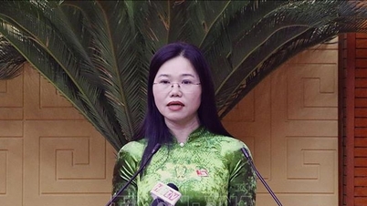 Bà Bùi Thị Minh được bầu giữ chức Chủ tịch Hội đồng nhân dân tỉnh Hòa Bình