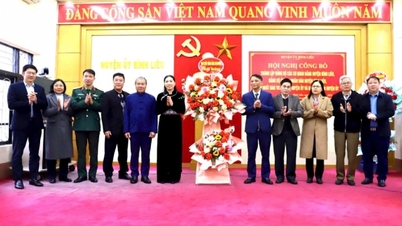 Huyện Bình Liêu: Công bố quyết định thành lập Đảng bộ các cơ quan Đảng
