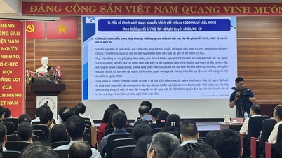 Ho Chi Minh City National University aims to appoint 100 visiting professors