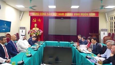Strengthening Vietnam transport infrastructure cooperation