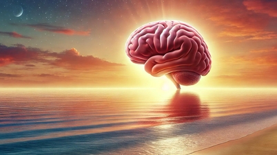Discovering the brain's hidden switch that turns anxiety attacks off